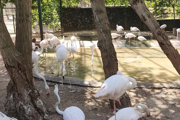 Gaziantep Büyükşehir Belediyesi Hayvanat Bahçesi - Resim 5