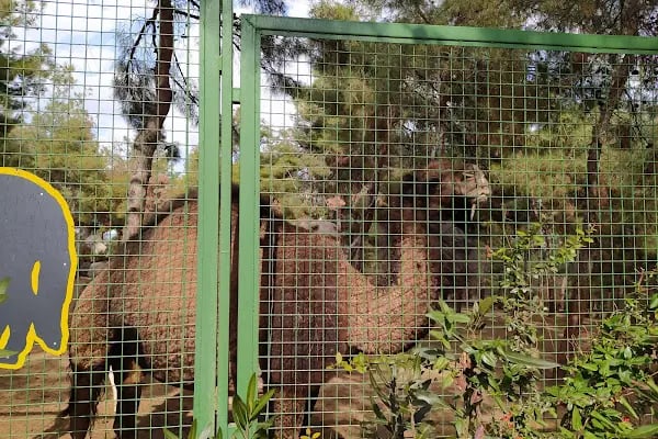 Gaziantep Büyükşehir Belediyesi Hayvanat Bahçesi - Resim 15