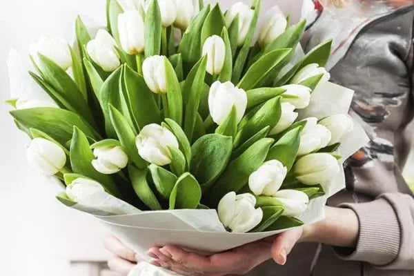 Diva Çiçek Güngören - Flowers Shop - Resim 9