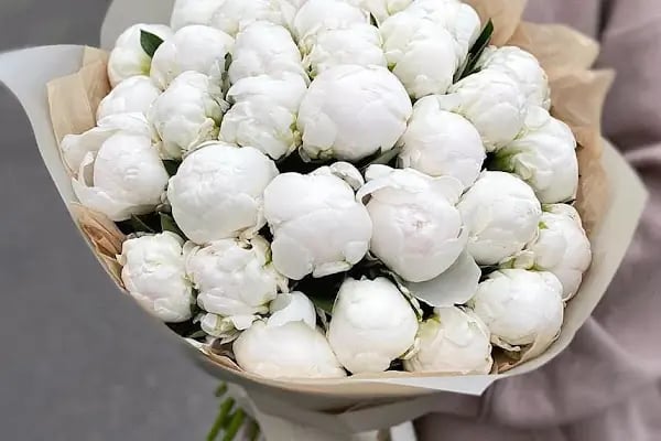Diva Çiçek Güngören - Flowers Shop - Resim 5