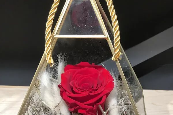 Diva Çiçek Güngören - Flowers Shop - Resim 10