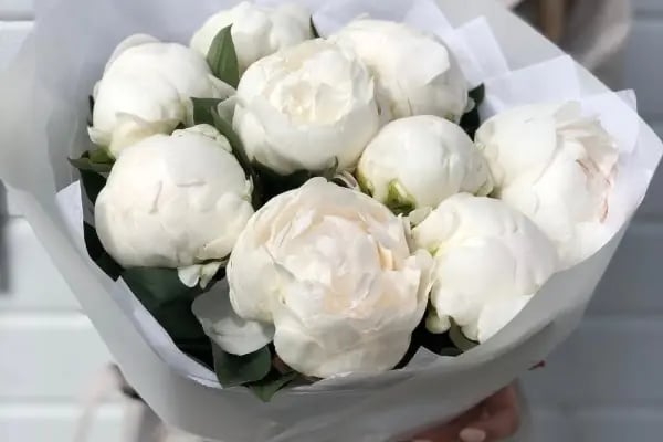 Diva Çiçek Güngören - Flowers Shop - Resim 15