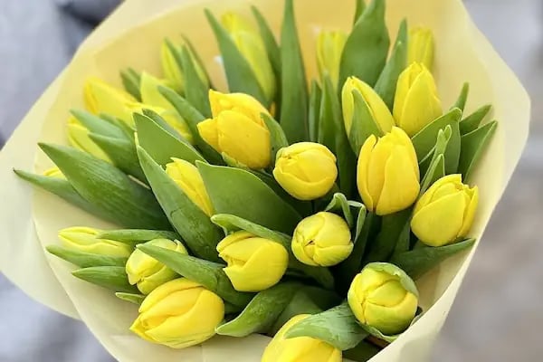 Diva Çiçek Güngören - Flowers Shop - Resim 14