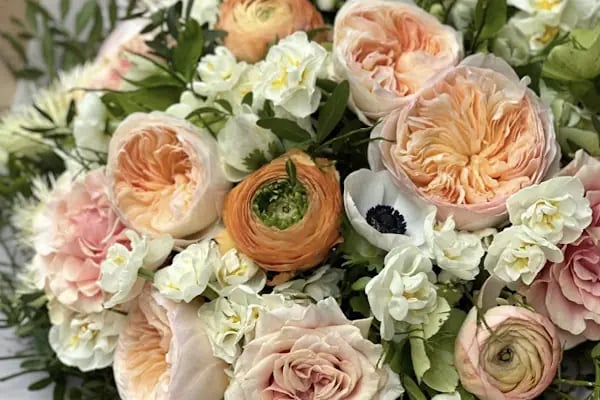 Diva Çiçek Güngören - Flowers Shop - Resim 12