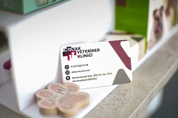 AKKONAK Veteriner Kliniği - Resim 14