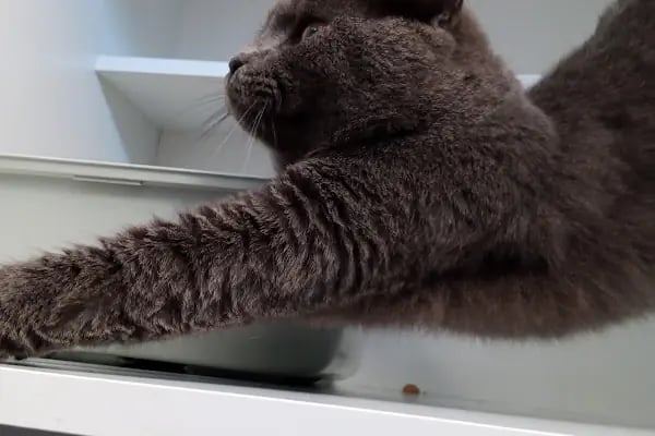 AKKONAK Veteriner Kliniği - Resim 15