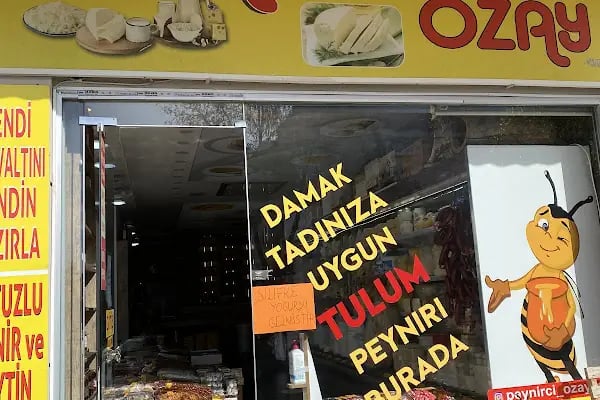 Peynirci Özay Alanya - Resim 2