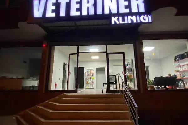 Petra Veteriner Kliniği - Resim 2