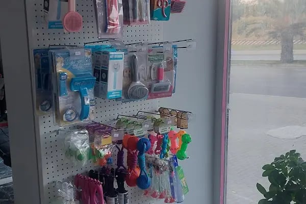 Petra Veteriner Kliniği - Resim 6
