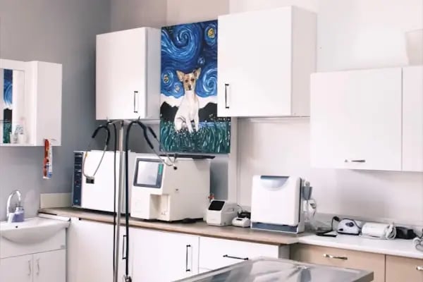 La Vita Veteriner Kliniği - Resim 1