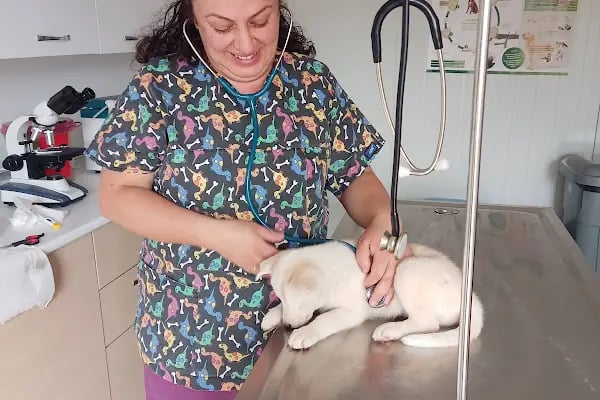 La Vita Veteriner Kliniği - Resim 2