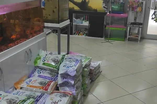 74 bilgin petshop - Resim 7