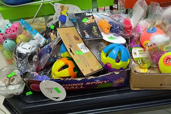 74 bilgin petshop - Resim 20
