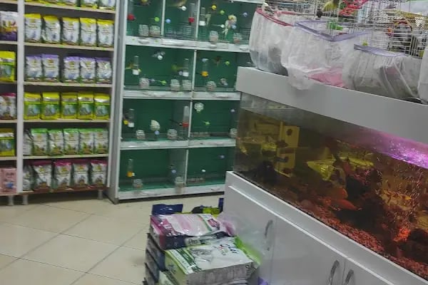 74 bilgin petshop - Resim 16