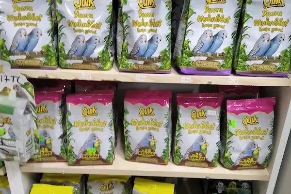 74 bilgin petshop - Resim 4