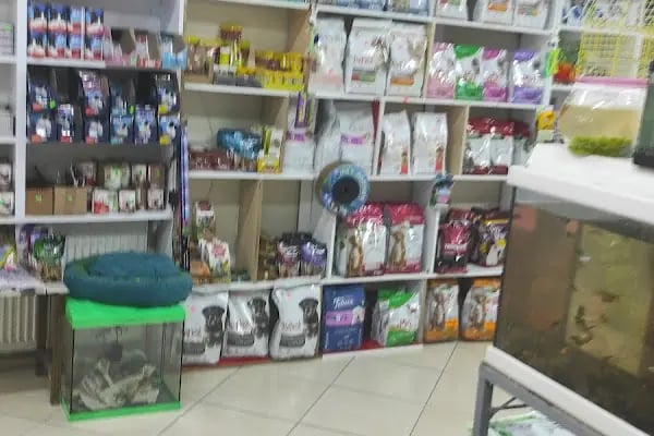 74 bilgin petshop - Resim 9