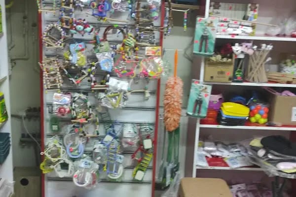 74 bilgin petshop - Resim 18