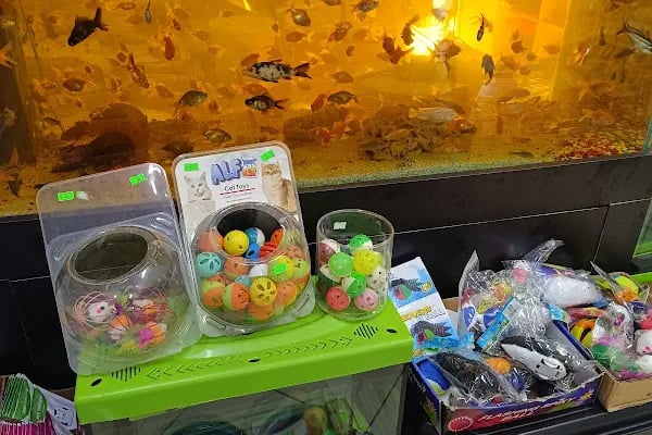 74 bilgin petshop - Resim 17