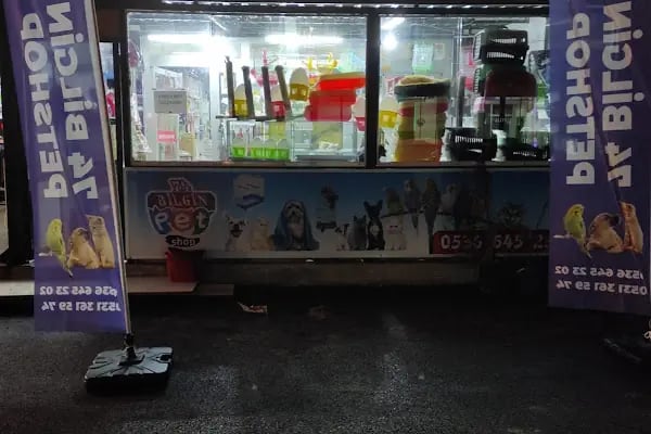 74 bilgin petshop - Resim 1