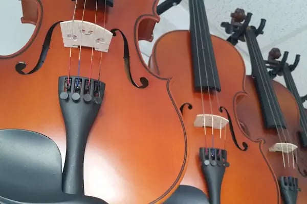 Özel İzmir Müzik Sanat Kursu - Resim 11