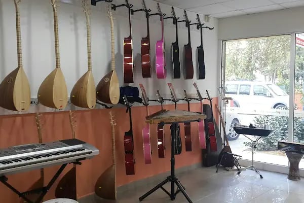 Özel İzmir Müzik Sanat Kursu - Resim 2