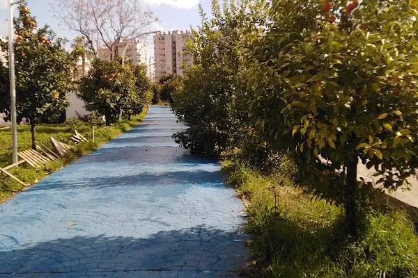 Kadın Üretici Pazarı - Resim 8