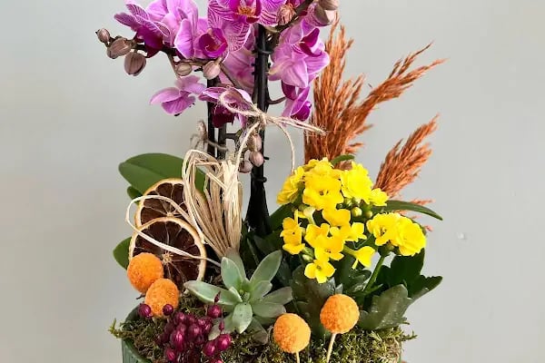 Zara Flowers Üçevler Bursa - Resim 9