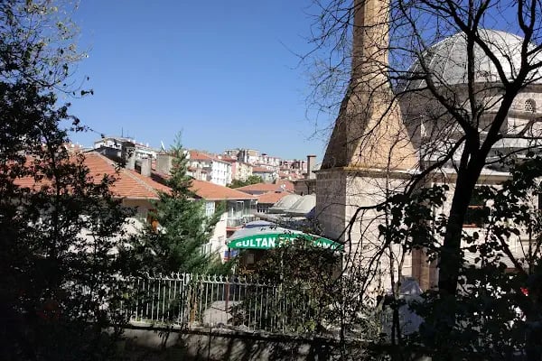 Dr. Ayşe Derya Sarıkaya - Resim 2