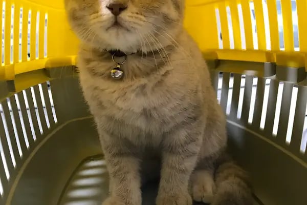 Vet- İzmir Veteriner Kliniği - Resim 6