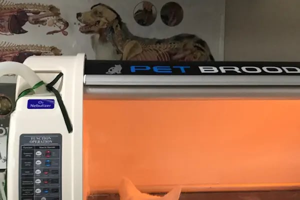 Vet- İzmir Veteriner Kliniği - Resim 19