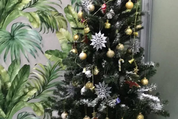 Vet- İzmir Veteriner Kliniği - Resim 13