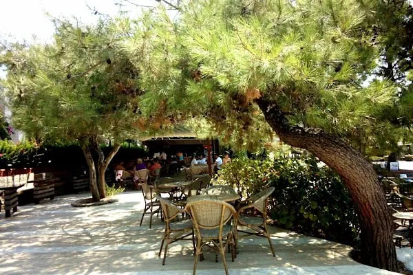 Verde Bodrum Holıday Vıllage - Resim 18