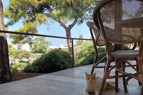 Verde Bodrum Holıday Vıllage - Resim 17
