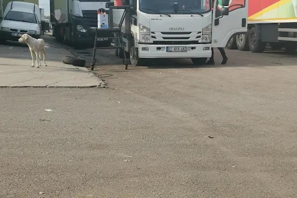 Antalya Thermoking Carrier Transicold Arkadaş Otomotiv - Resim 9