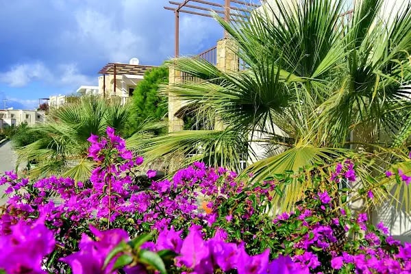 BODRUM CAN EMLAK - Resim 9