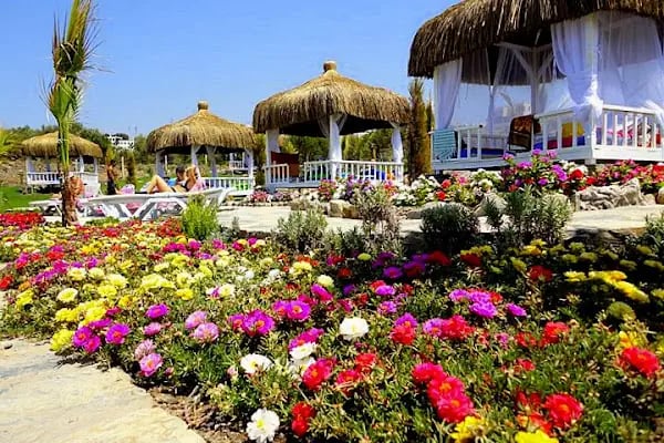 BODRUM CAN EMLAK - Resim 5