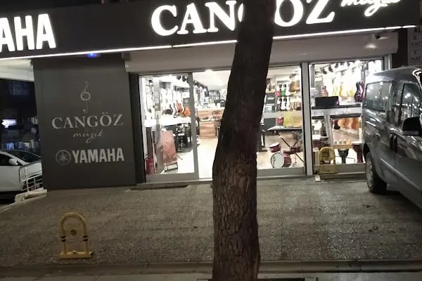 Cangöz Müzik Ankara - Resim 4