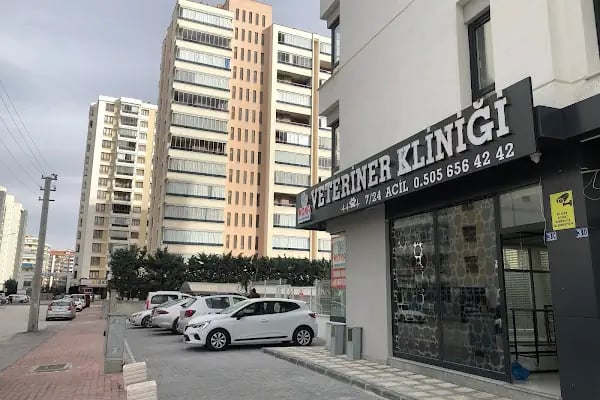 MONA Veteriner Kliniği - Resim 11