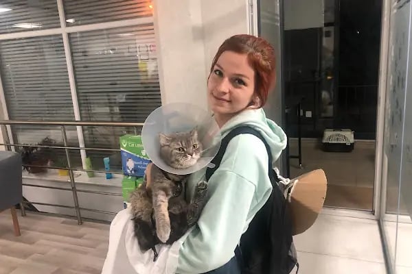 MONA Veteriner Kliniği - Resim 19