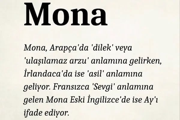 MONA Veteriner Kliniği - Resim 1
