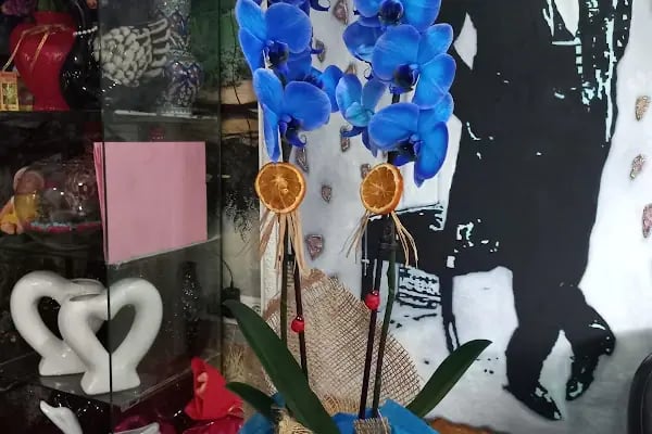 Sude Çiçekçilik Ankara - Resim 15