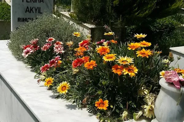 Ortakent Köyü Mezarlığı - Resim 10