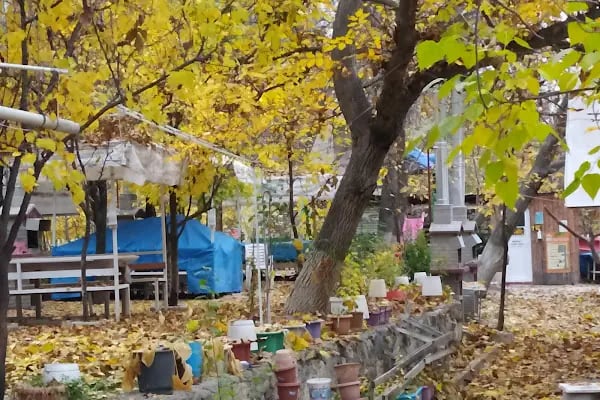 Cangara kamping piknik - Resim 6