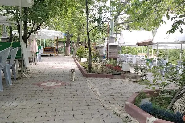 Cangara kamping piknik - Resim 5