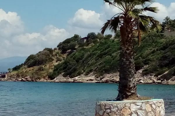 Turquoise Resort - Resim 15