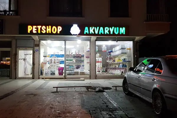 Kaya Akvaryum Petshop - Resim 4