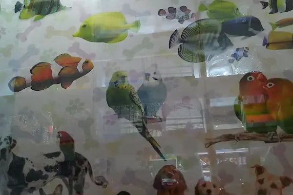 Selçuk çiçekçi &amp; Petshop - Resim 4