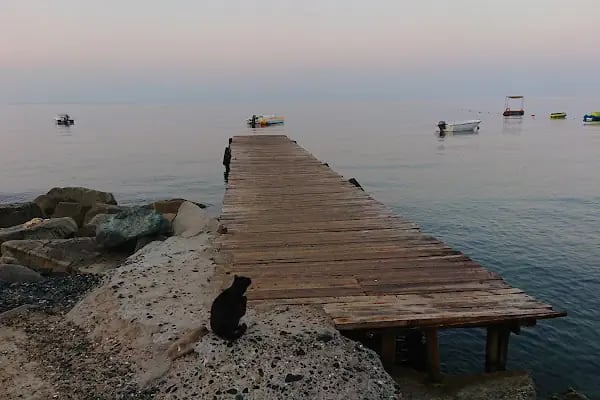 İDO Armutlu Tatil Köyü - Deniz Otobüsü İskelesi - Resim 6