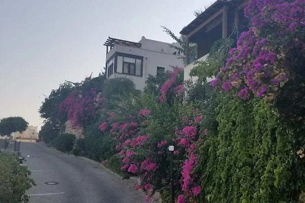 Villatepe Evleri - Resim 6