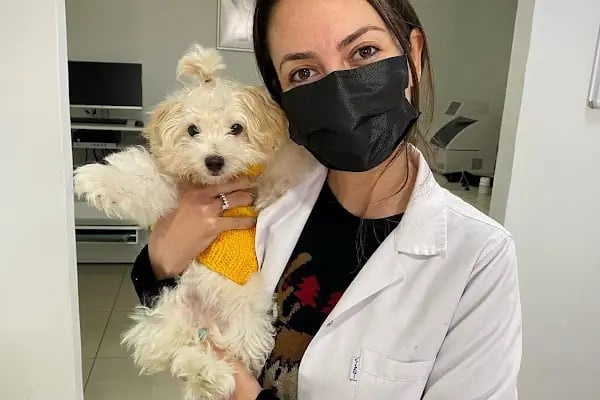Vet Time Veteriner Kliniği - Resim 7